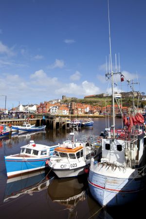 whitby harbour april 13 2012 1 sm.jpg